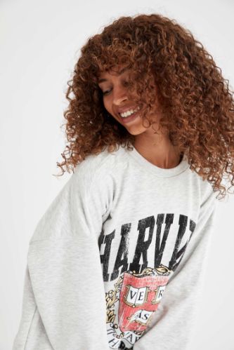 Sudadera harvard stradivarius hot sale