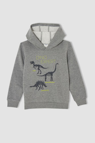Erkek Çocuk Regular Fit Dinozor Baskılı Kapüşonlu Kanguru Cepli Sweatshirt