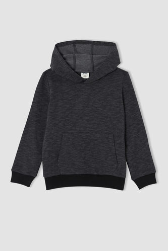 Boy Regular Fit Hooded Sweat Shirt With Cangroo Pocket Detail