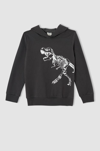 Boy Regular Fit Dinosaur Print Hoodie Sweatshirt