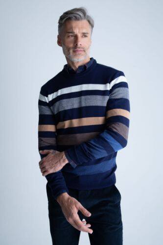 Men Regular Fit Crew-Neck Pullover