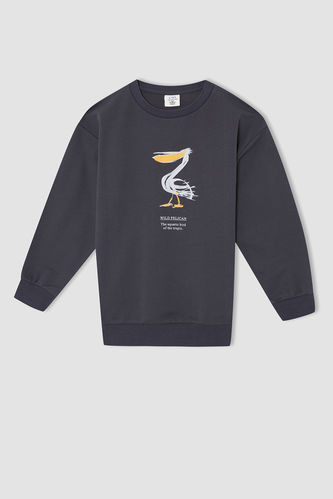 Boy Oversize Long Sleeve Animal Print Sweatshirt