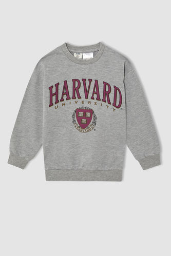 Boy's Harvard University Licensed Hoodie