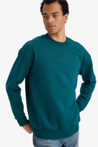 Boxy Fit Bisiklet Yaka İçi Yumuşak Tüylü Baskılı Sweatshirt