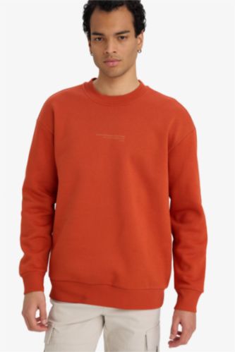 Boxy Fit Printed Long Sleeve Sweatshirt