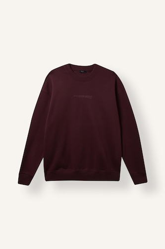 Boxy Fit Cotton Printed Fleece Lining Sweatshirt