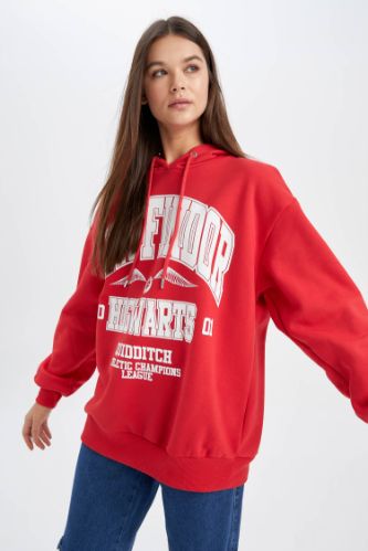 Harry potter shop champion hoodie