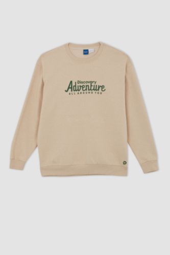 Daisy street oversized sweatshirt online with vintage river embroider