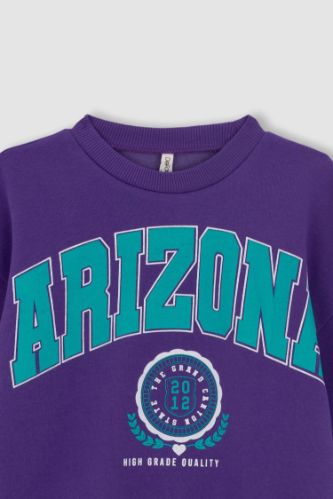 Purple Girls & Teens Regular Fit Crew Neck Sweatshirt