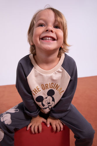 Baby Boy Regular Fit Disney Mickey & Minnie Licensed Crew Neck Sweatshirt