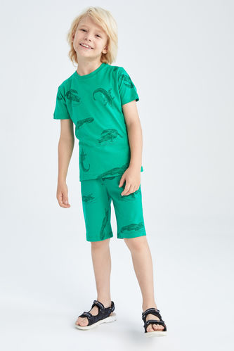 Boy Regular Fit Combed Cotton Shorts