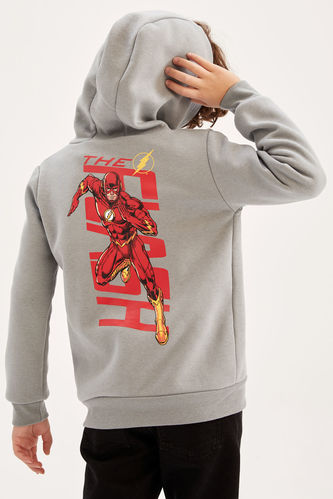Regular Fit The Flash Licensed Hooded Sweatshirt