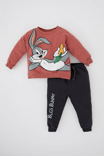 2 piece Regular Fit Crew Neck Looney Tunes Licensed Knitted Set