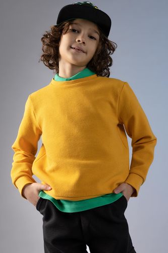 Boy Regular Fit Crew Neck Reversible Sweatshirt