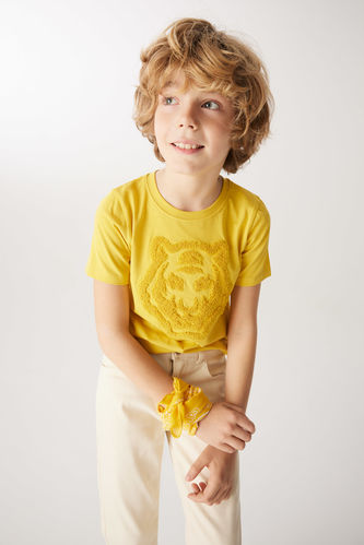 Boy Regular Fit Crew Neck Embroidered Short Sleeve T-Shirt