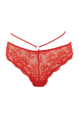 Fall In Love Valentine's Day Lace Detailed Lace Brazilian Panties