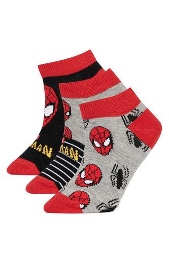Boy Marvel Spiderman Licensed 3 Pack Cotton Booties Socks