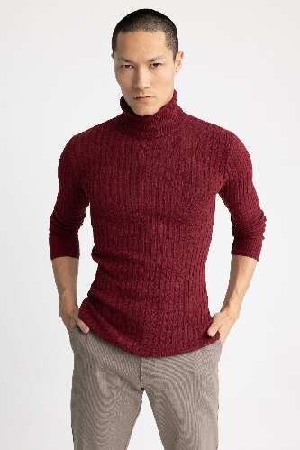 Regular Fit Turtleneck Knitwear Pullover
