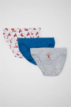 LOT DE 3 SLIPS EN COTON POUR GARÇON
