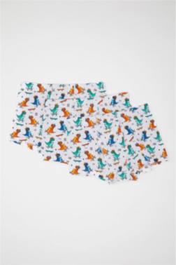 LOT DE 3 BOXERS AVEC IMPRIMÉ DINOSAURE POUR GARÇON