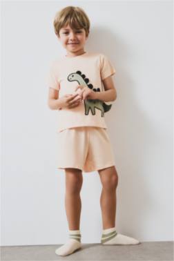 BABY BOY COTTON T-SHİRT SHORTS 2 PİECE PAJAMA SET