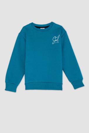 Boy Sweatshirts, Hoodies at Best Prices