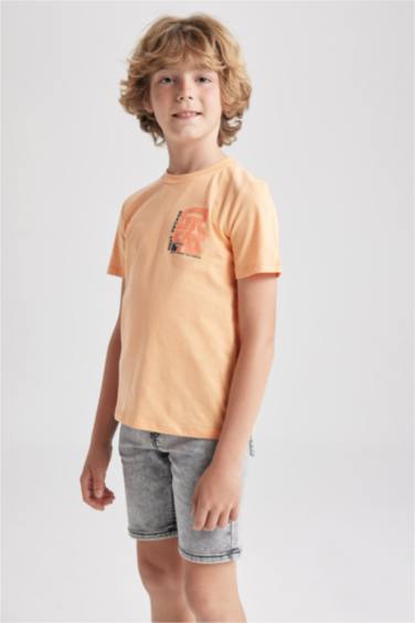 Boy Regular Fit Crew Neck Printed Short Sleeve T-Shirt