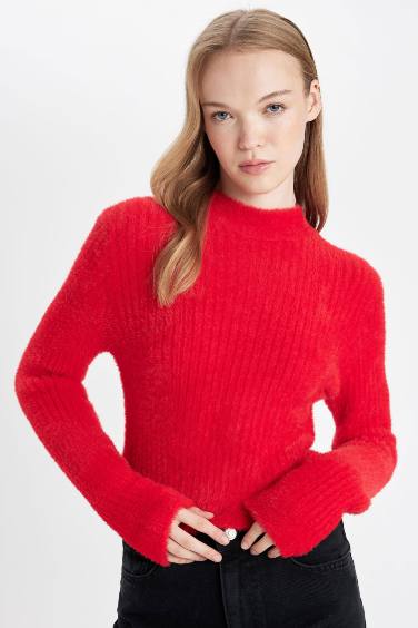 Regular Fit Half Turtleneck Knitted Pullover