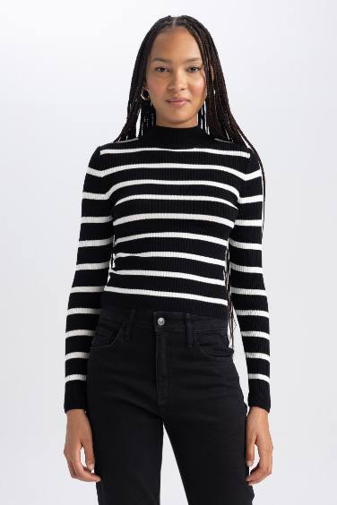 Slim Fit Striped Half Turtleneck Pullover