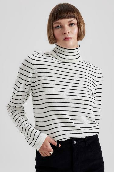 Regular Fit Turtleneck Pullover