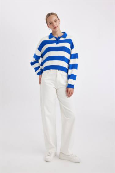 Regular Fit Polo Neck Striped Knit Pullover