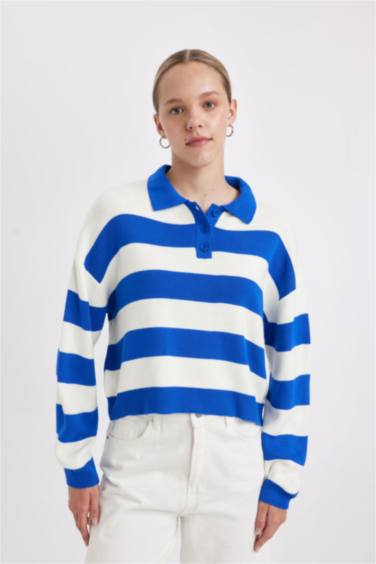 Regular Fit Polo Neck Striped Knit Pullover