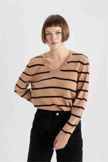 Regular Fit V-Neck Pullover