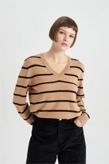 Regular Fit V-Neck Pullover