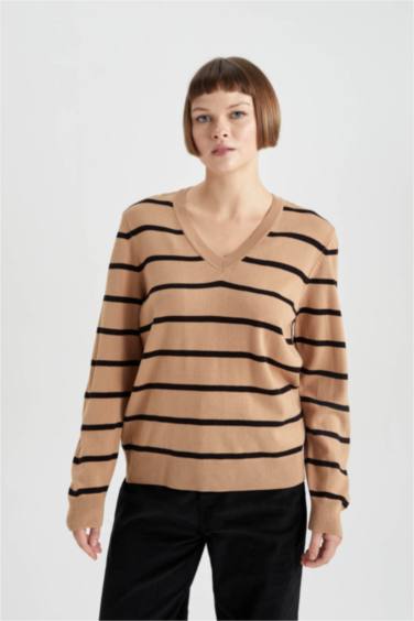 Regular Fit V-Neck Pullover