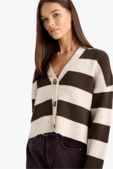 Regular Fit V-Neck Cardigan