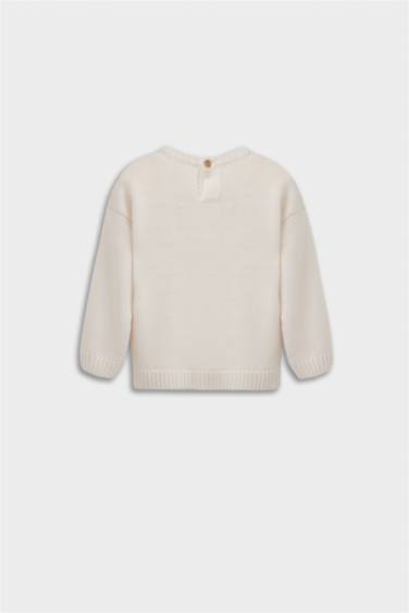 Baby Boy Crew Neck Printed Pullover