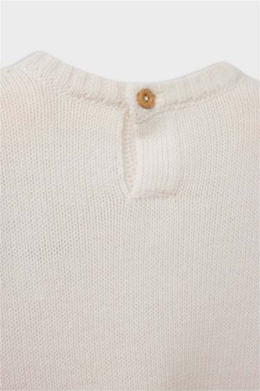 Baby Boy Crew Neck Printed Pullover