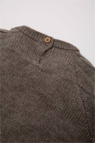 Сәби Ұл қалыпты пішім Пулловер