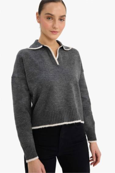 Regular Fit Polo Collar Knitwear Pullover