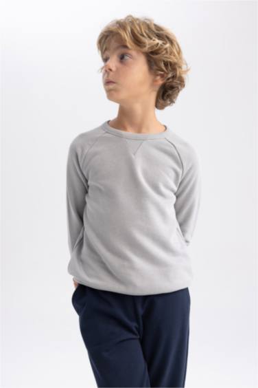 Regular Fit Crew Neck Sweatshirt