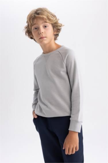 Regular Fit Crew Neck Sweatshirt