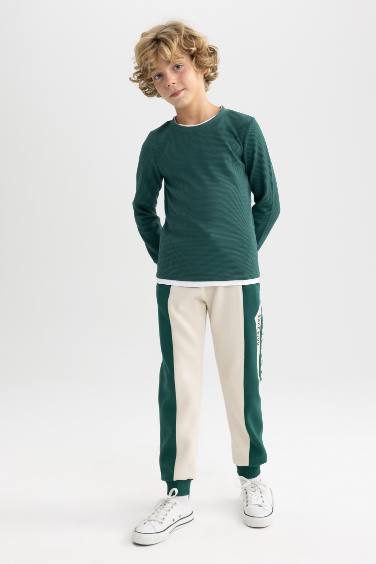 Regular Fit Trousers