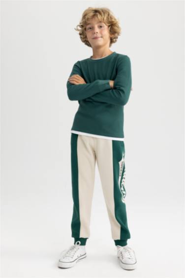 Regular Fit Trousers