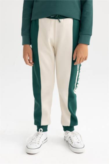 Regular Fit Trousers