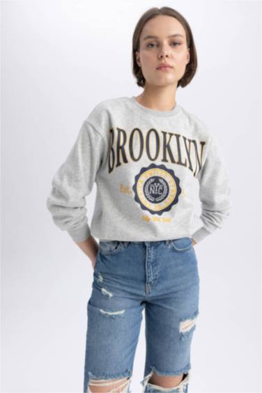 سويت شيرت قصة عادية برقبة مستديرة