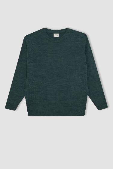 Boy Regular Fit Crew Neck Pullover