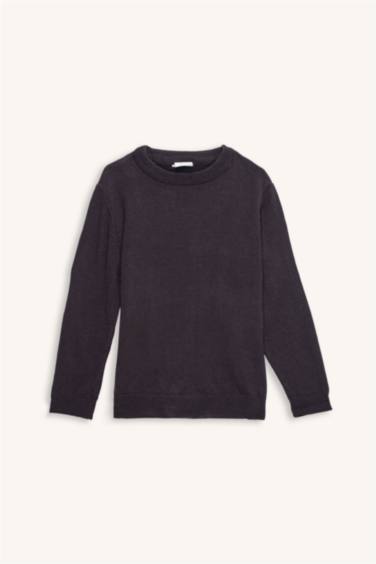 Boy Regular Fit Crew Neck Pullover