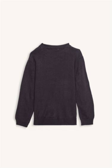 Boy Regular Fit Crew Neck Pullover