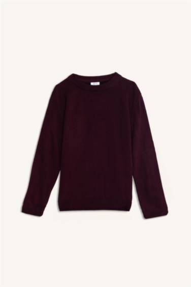 Boy Regular Fit Crew Neck Knit Pullover